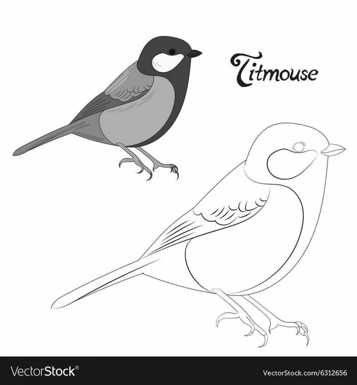 Cute tit coloring book for 6-7 year olds