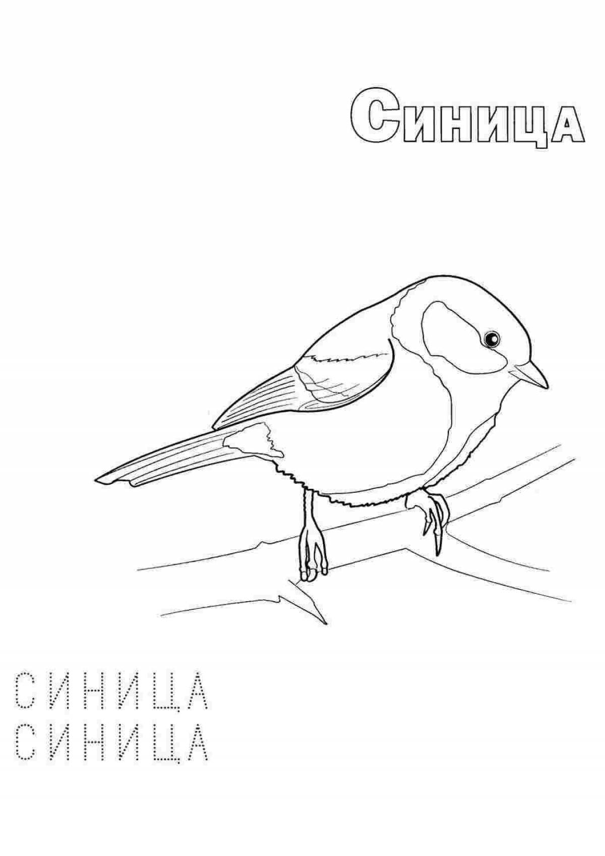 Awesome titmouse coloring page for 6-7 year olds