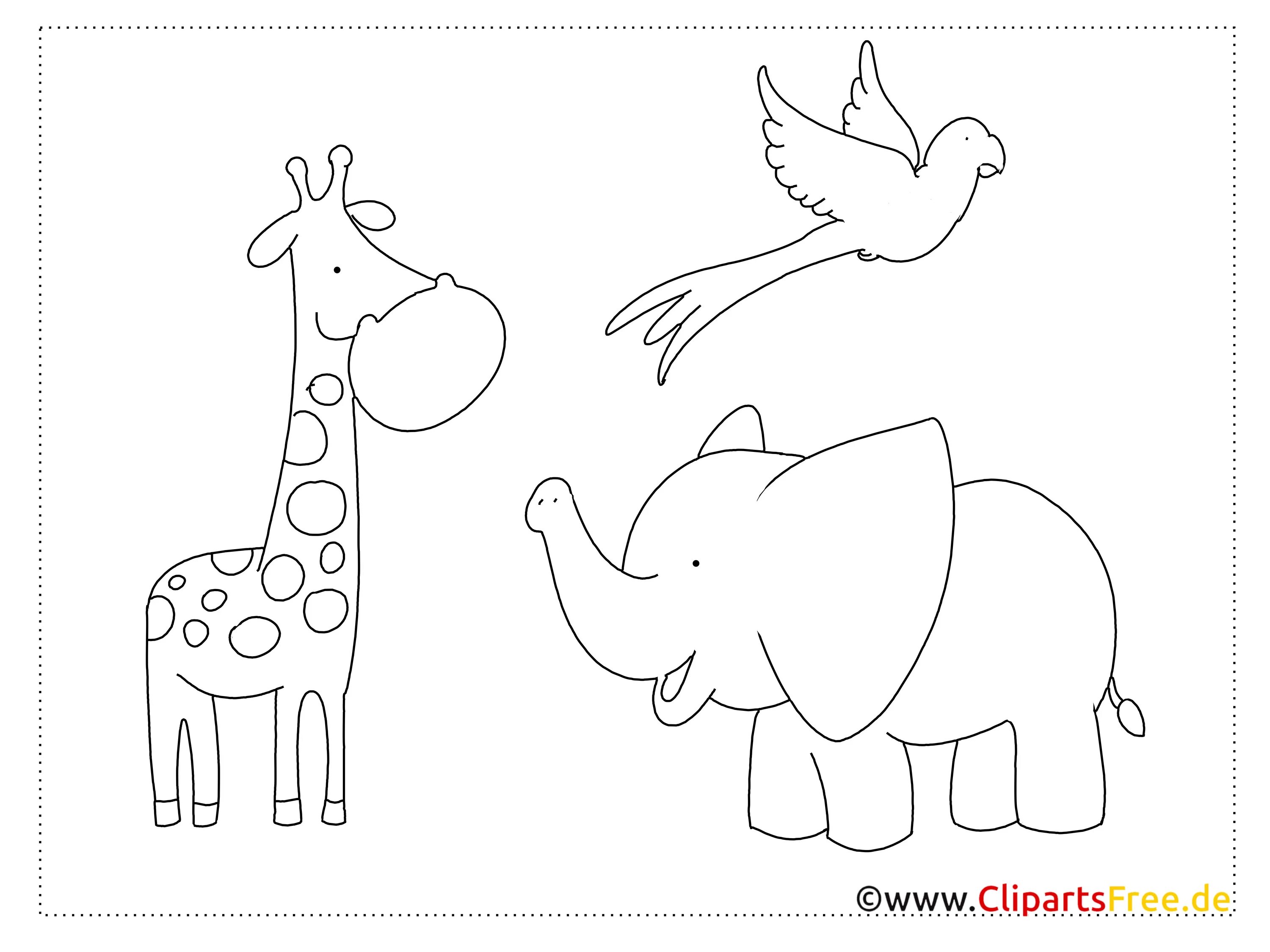 Рисунки зоопарка с животными легкие для детей