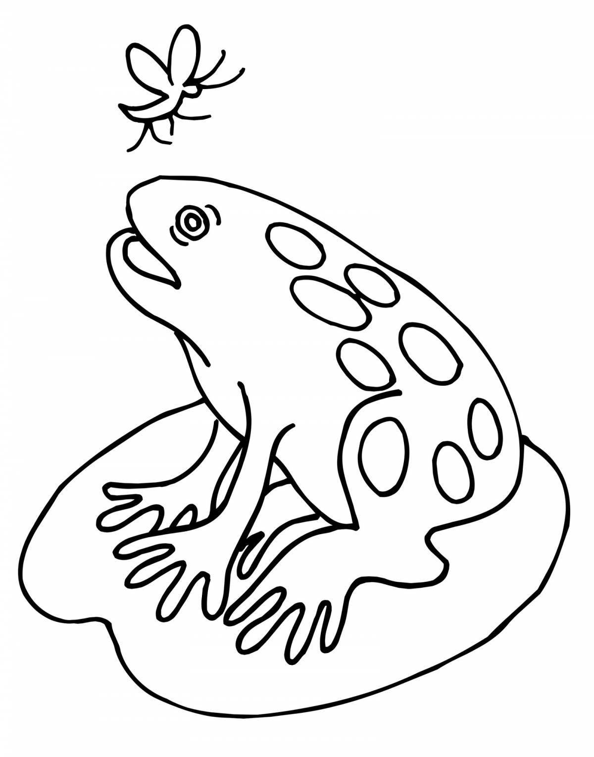 Fancy frog coloring book for 3-4 year olds