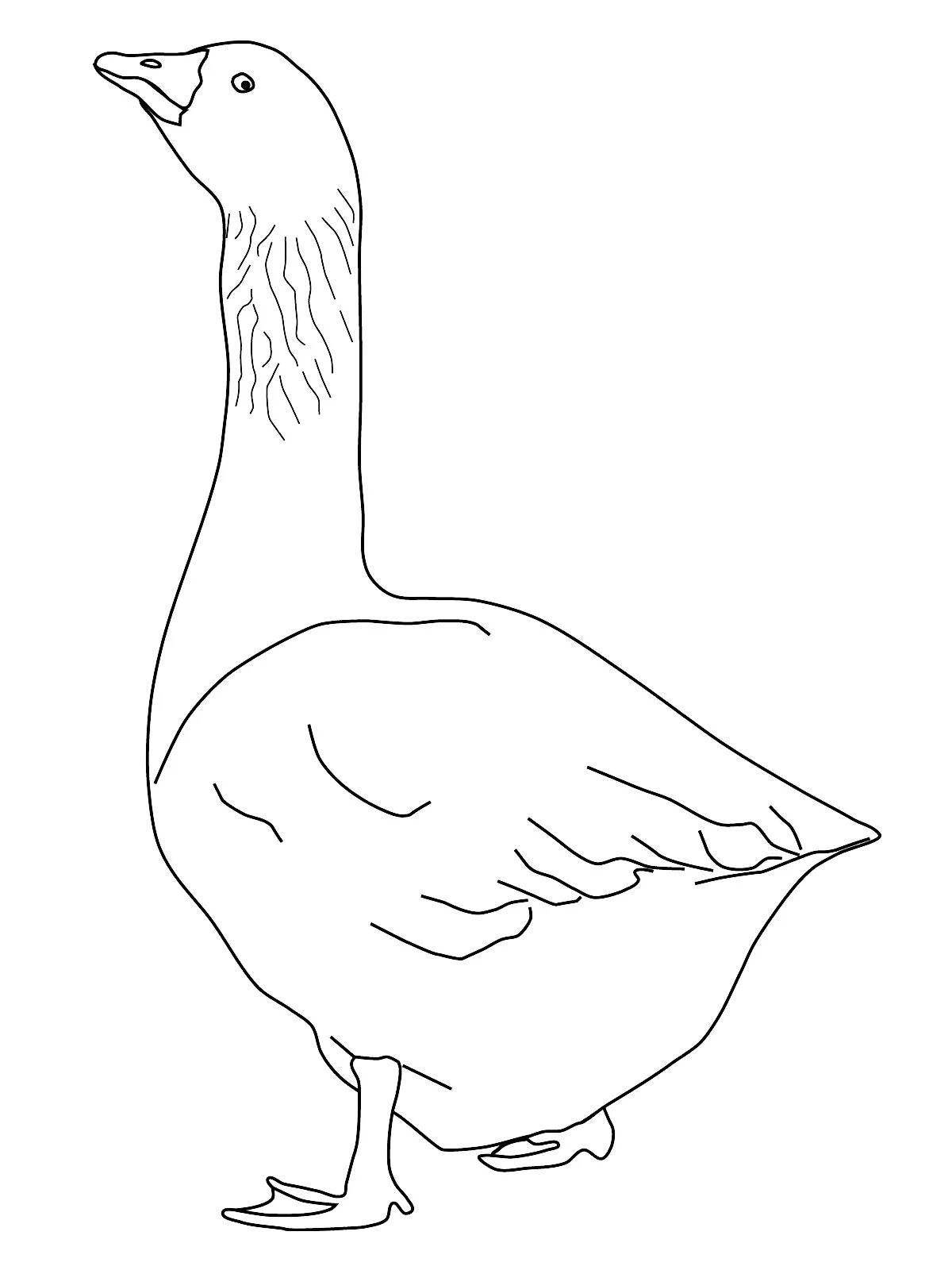 Vibrant goose coloring pages for 3-4 year olds