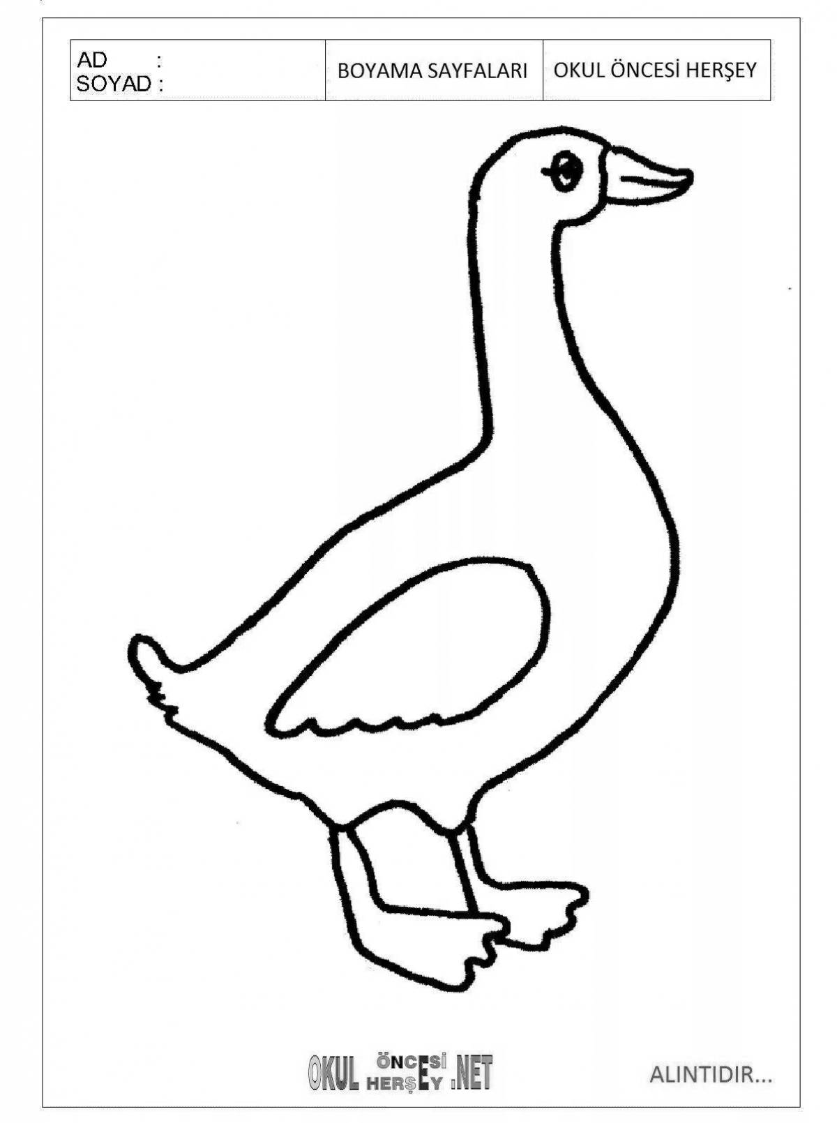 Gorgeous Goose Coloring Page for 3-4 year olds