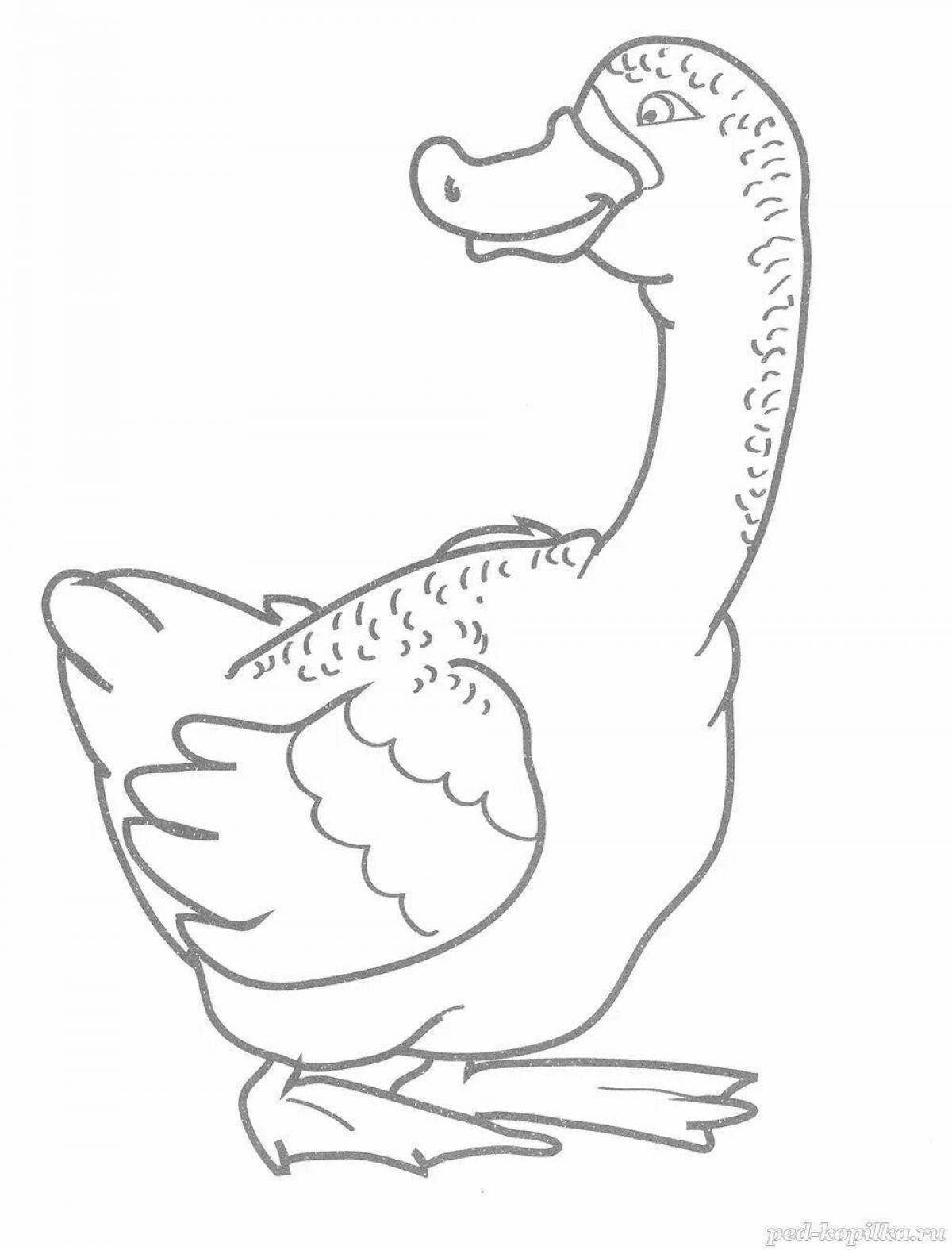 Amazing goose coloring page for 3-4 year olds