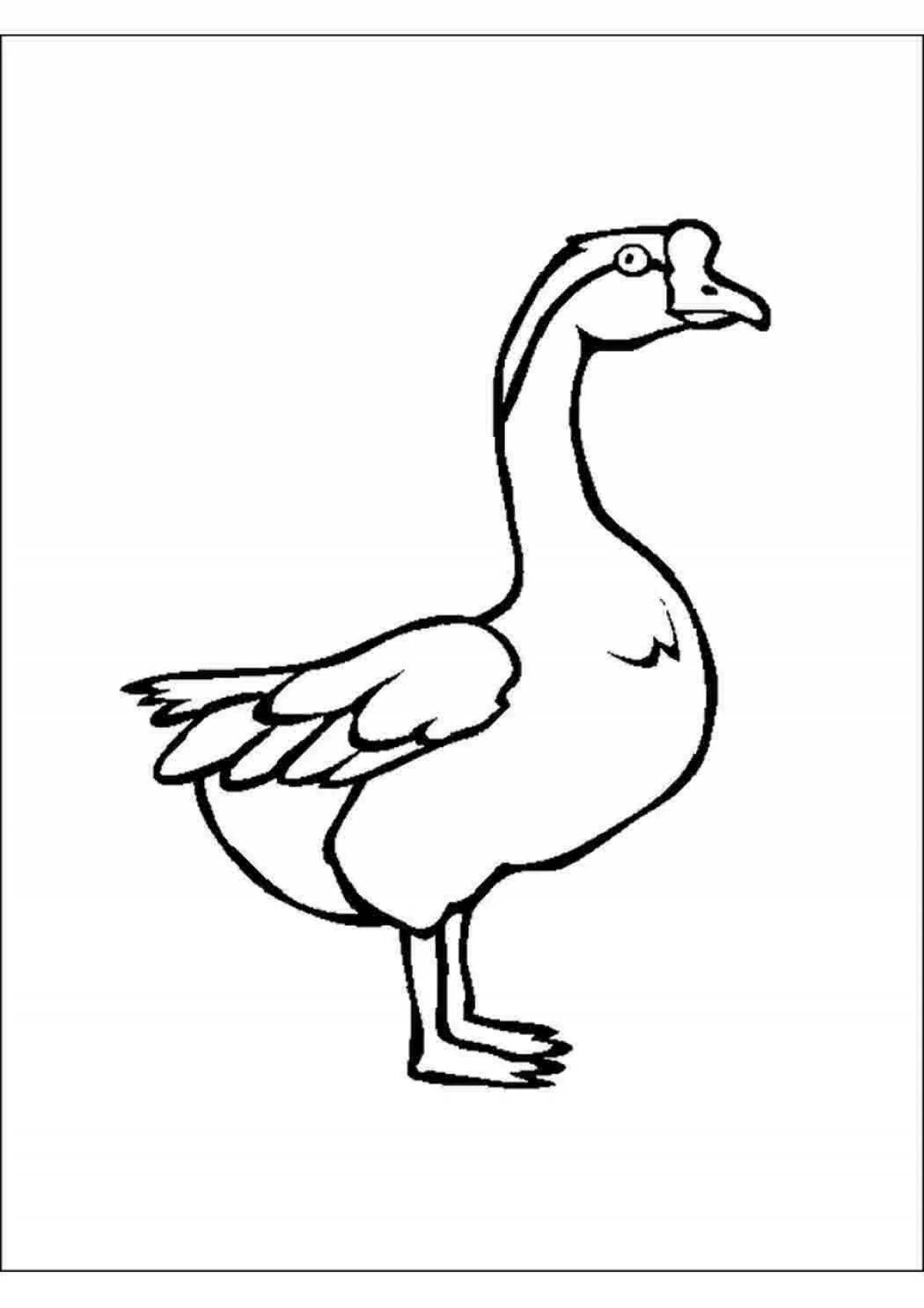 Outstanding goose coloring page for 3-4 year olds