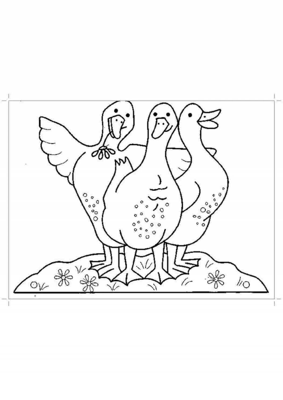 Coloring book dazzling goose for 3-4 year olds