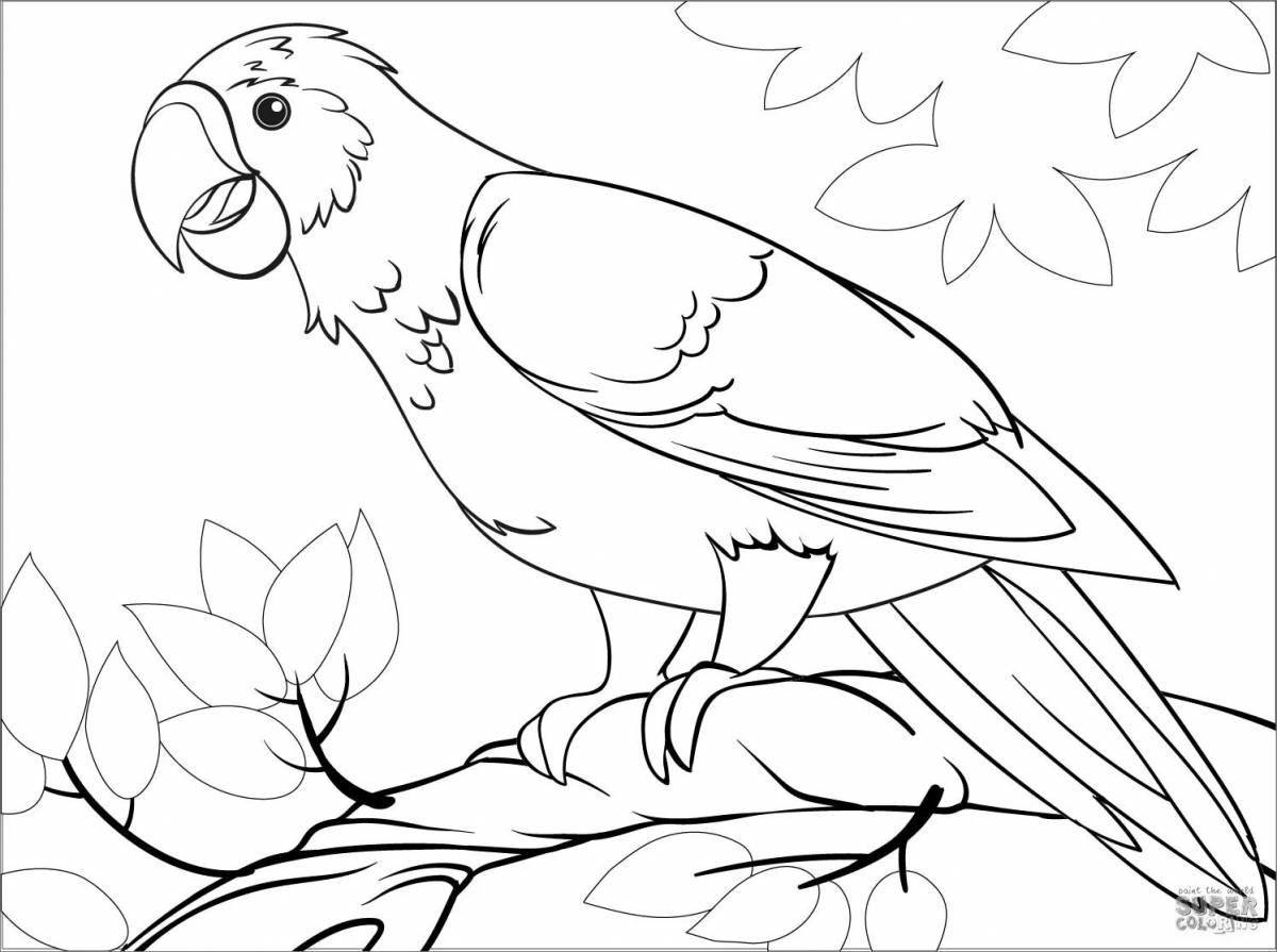 Раскраска игривый попугай для детей 3-4 лет