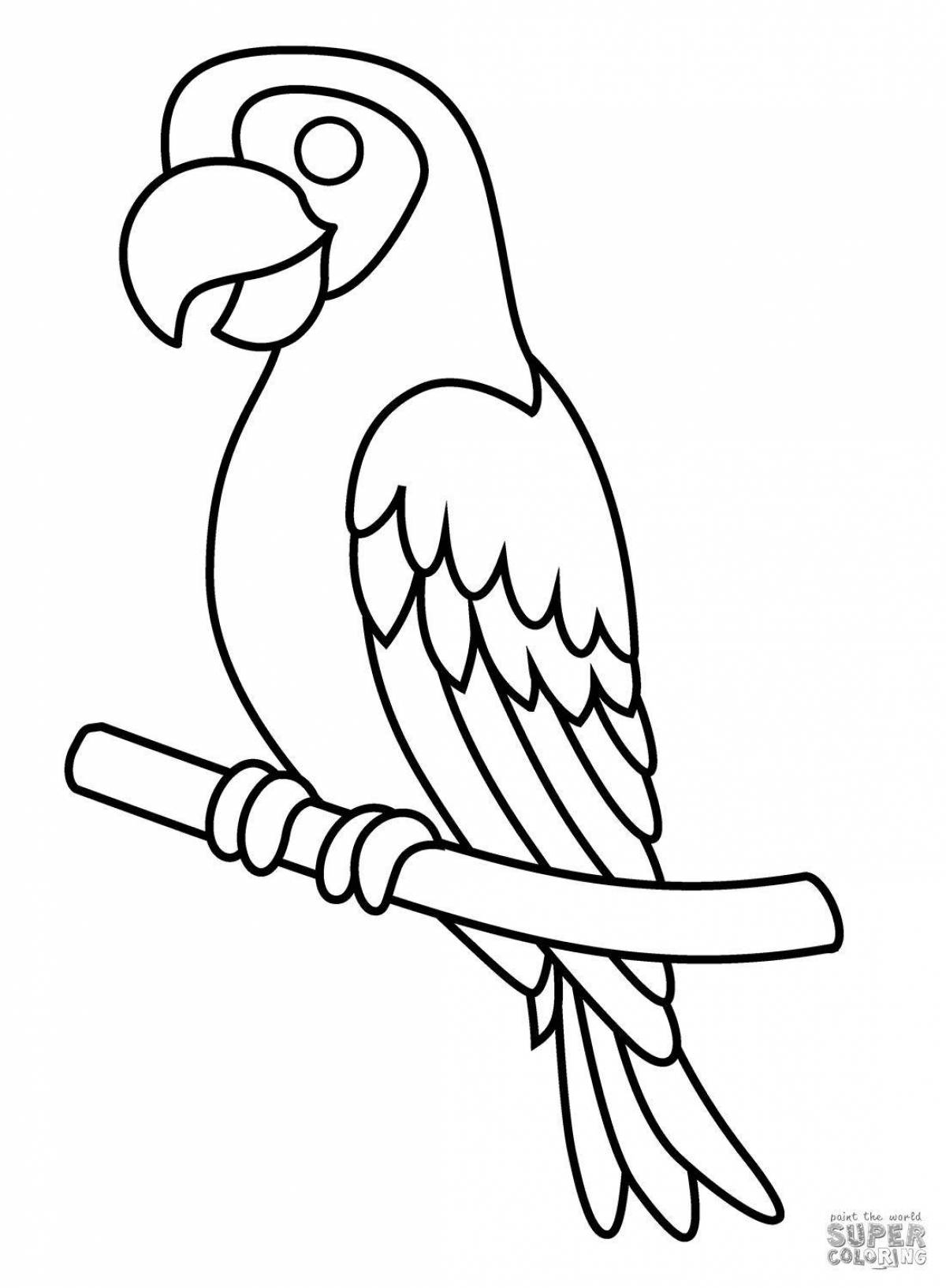 Fun coloring book parrot for 3-4 year olds