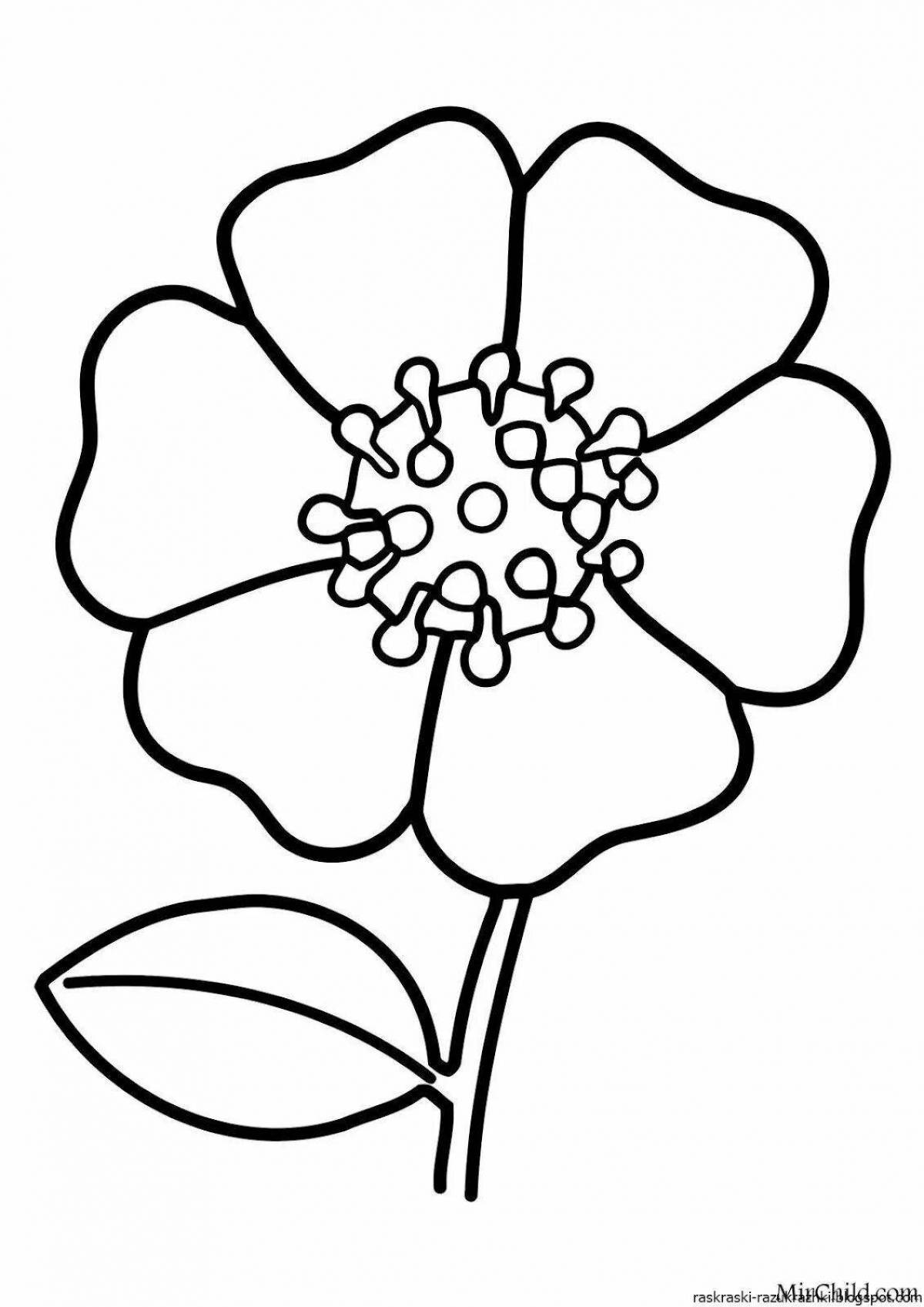 Blissful coloring flowers for kids 3 4