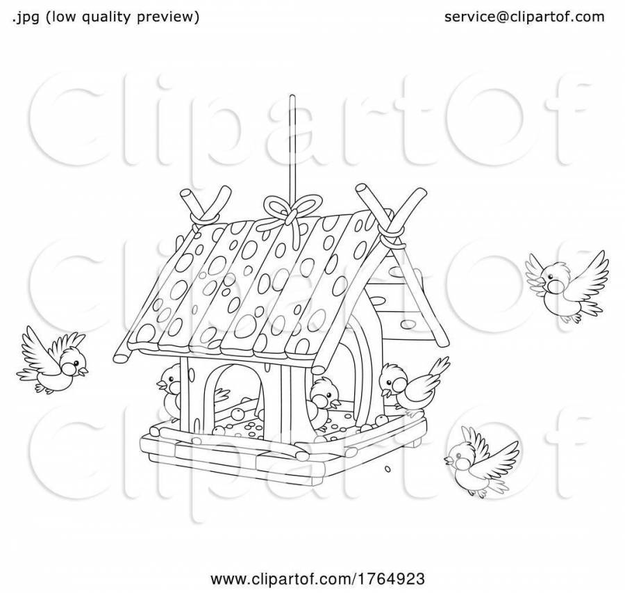 Птички на кормушке картинки для детей