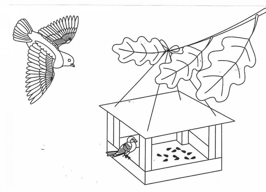 Птички на кормушке картинки для детей