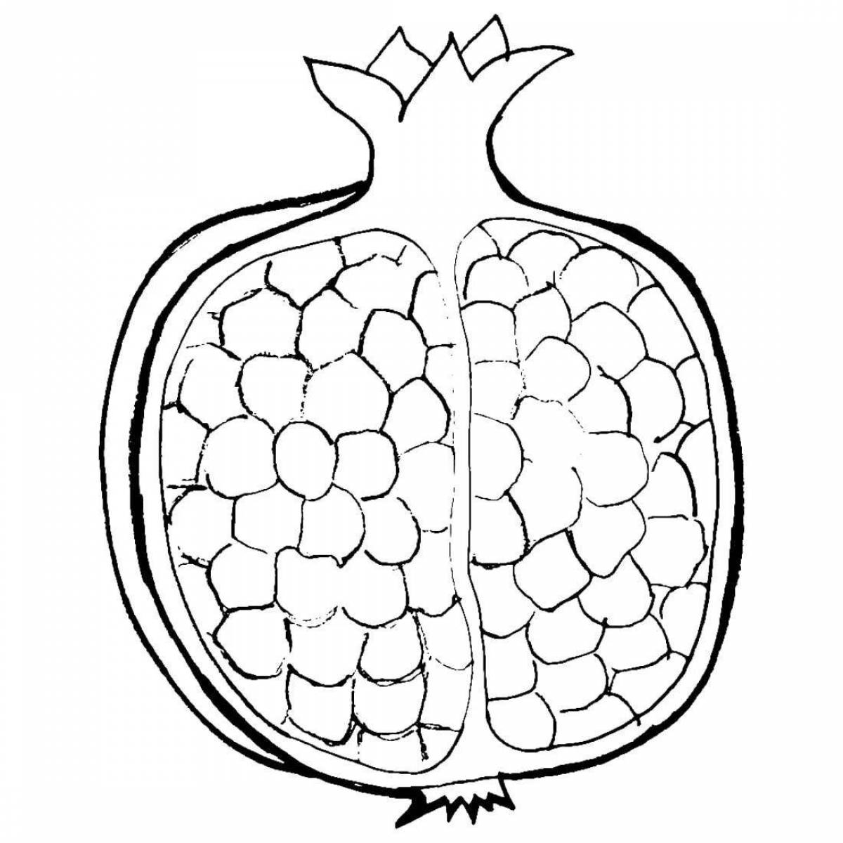 Гранат картинка для детей раскраска