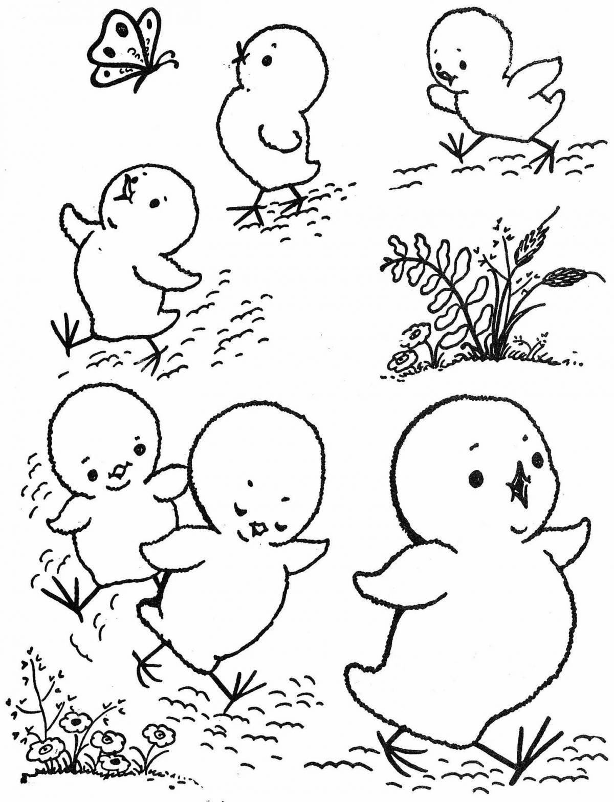 Adorable chicken coloring pages for 6-7 year olds