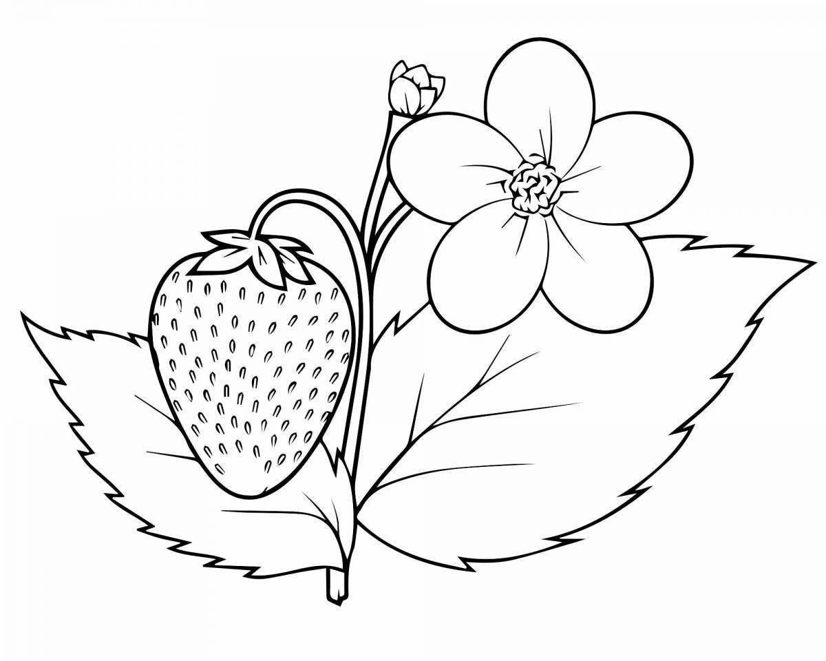Sweet strawberry coloring book for 3-4 year olds