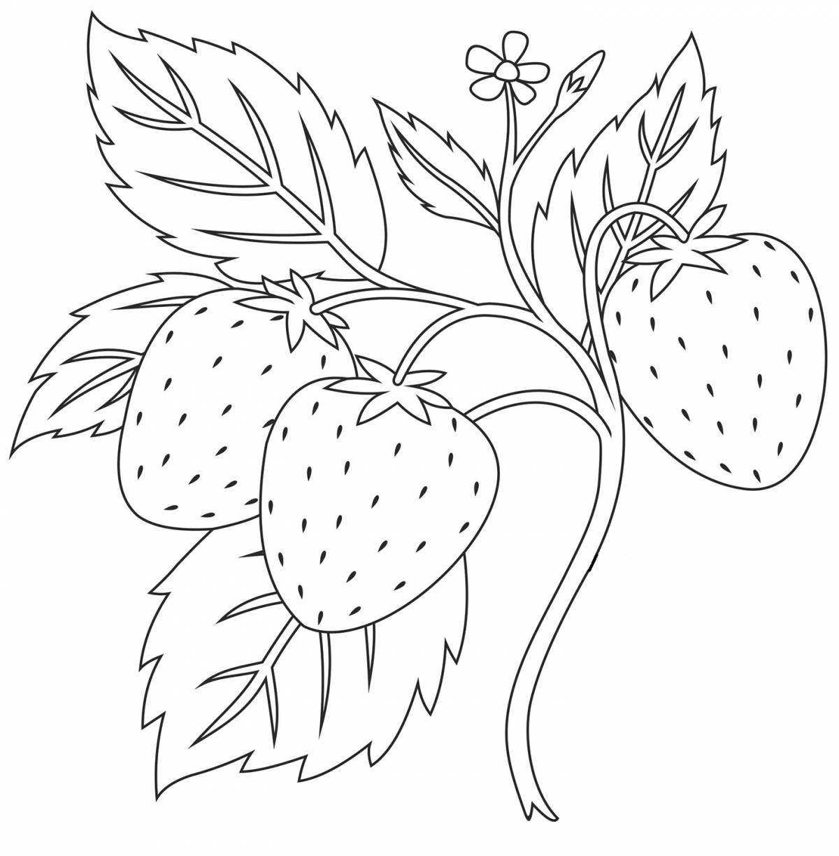 Joyful strawberry coloring book for 3-4 year olds