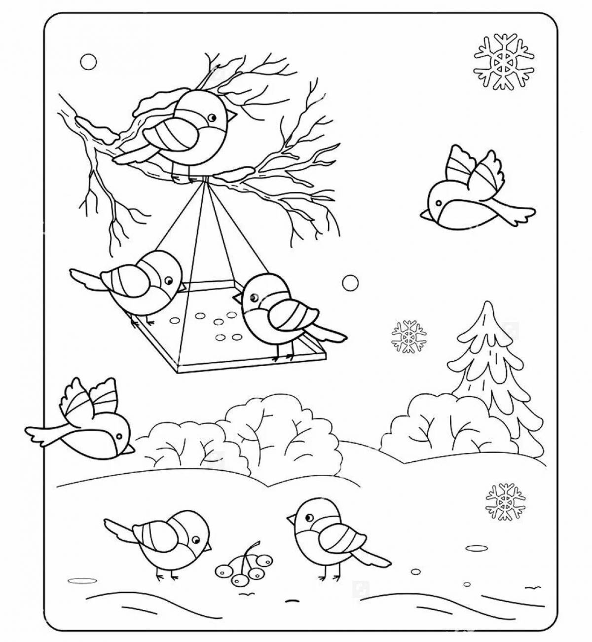 Elegant winter birds coloring book for children 6-7 years old