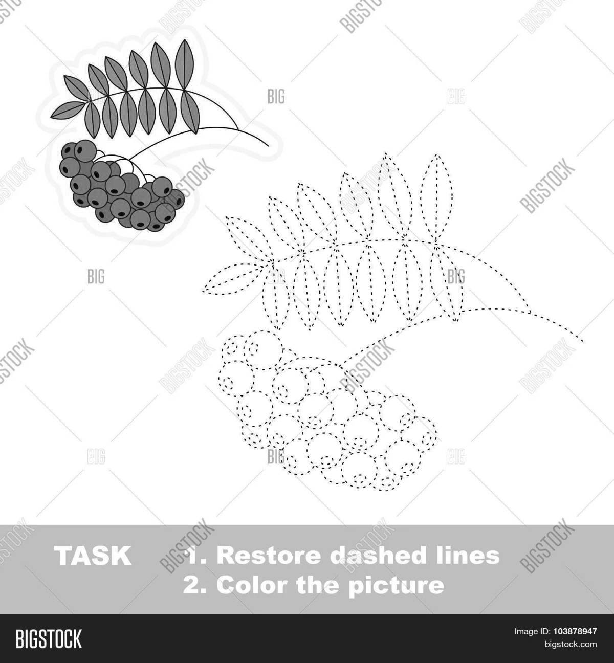 Coloring book bright rowan branch for preschoolers