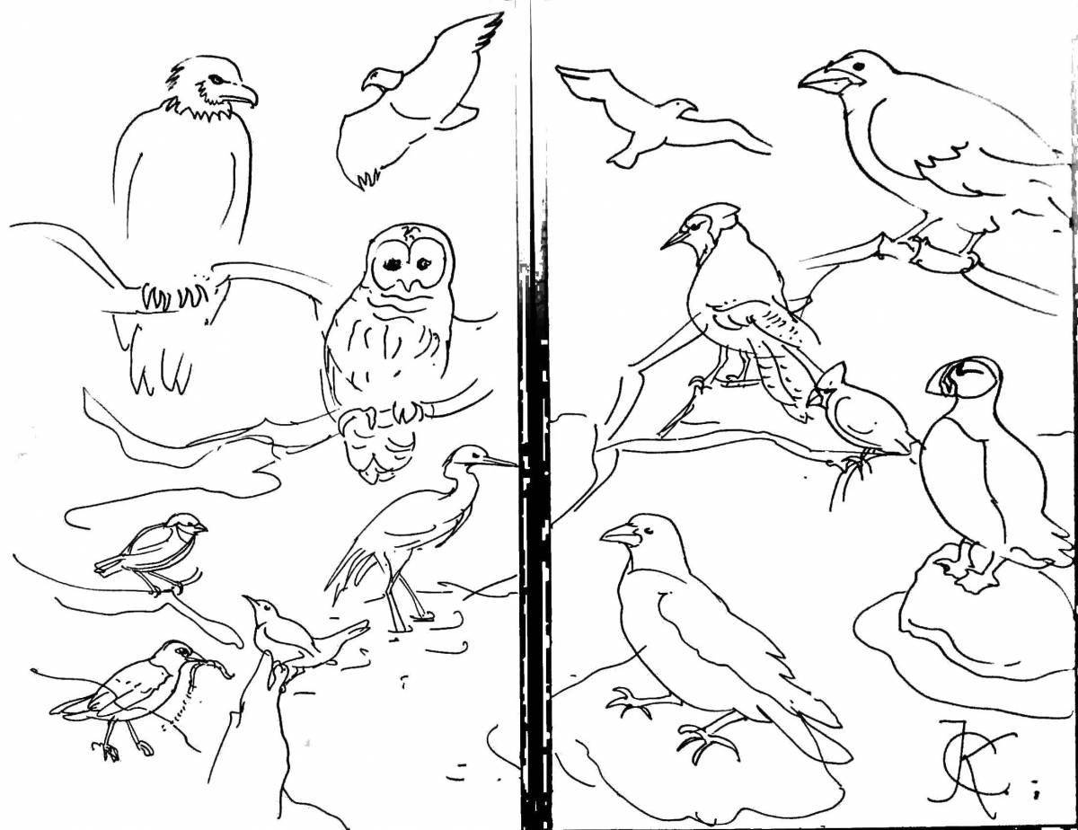 Потрясающая страница раскраски перелетных птиц
