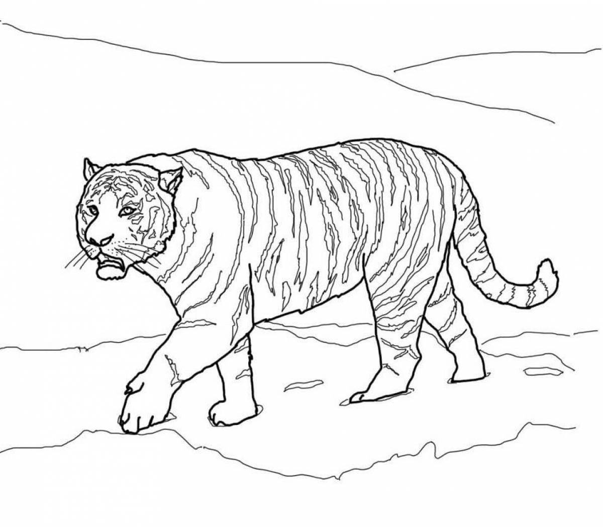 Жирная раскраска тигр для детей 6-7 лет