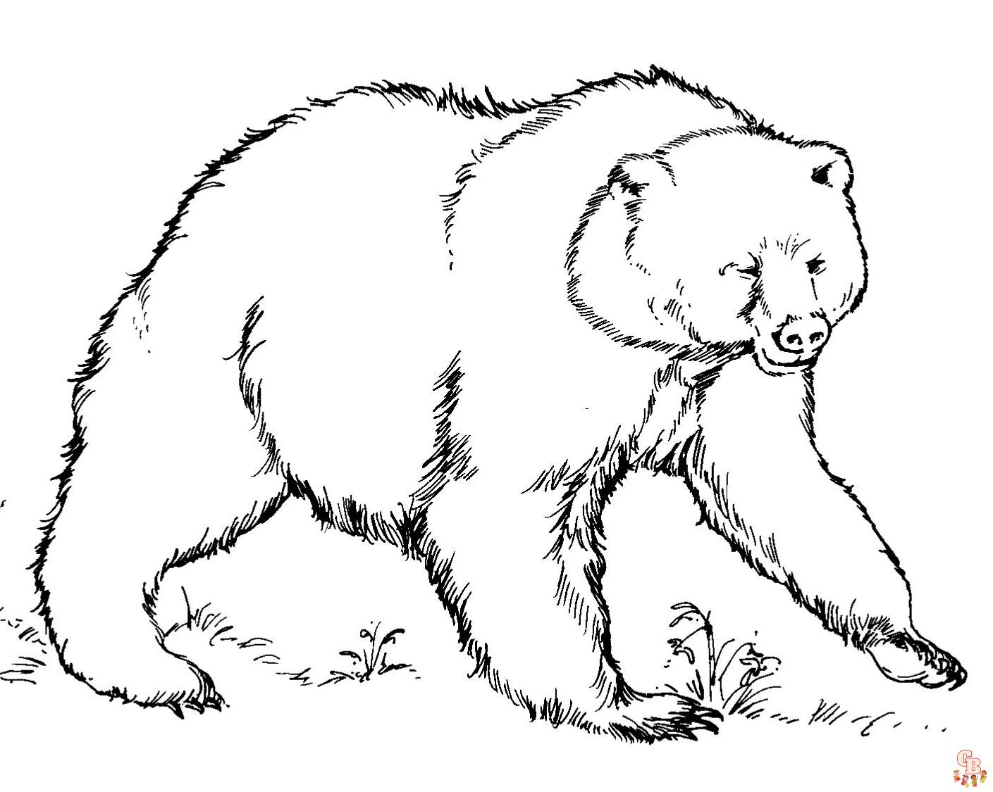 Live bear in a den coloring book for kids