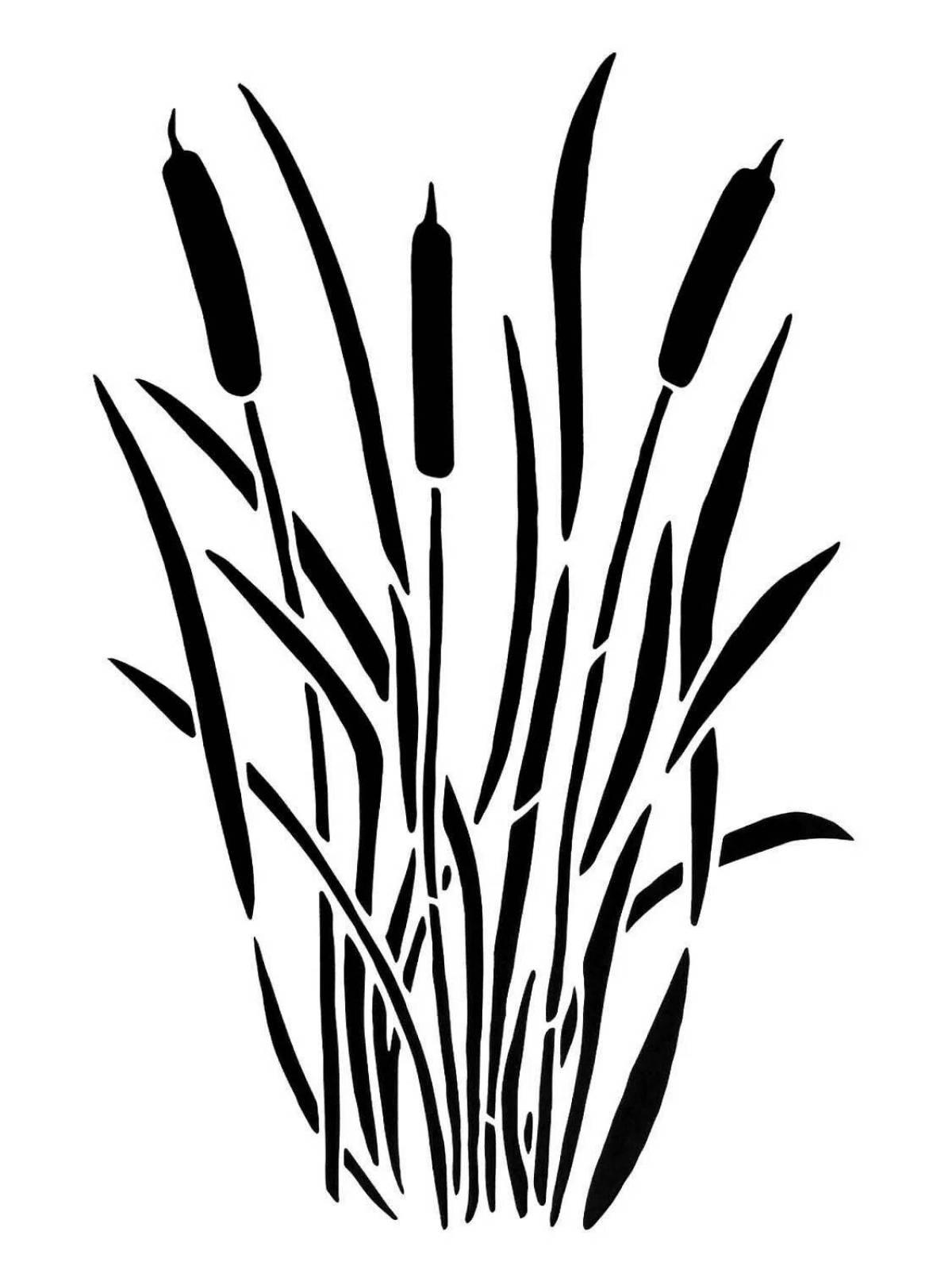 Glitter Reeds Coloring Page for Toddlers