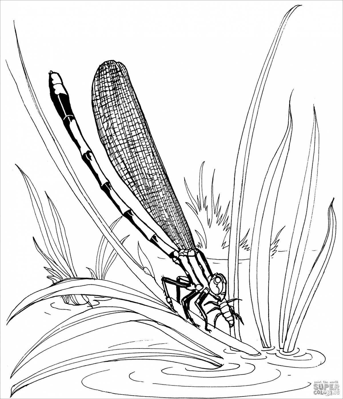 Glamorous reeds coloring book for preschoolers