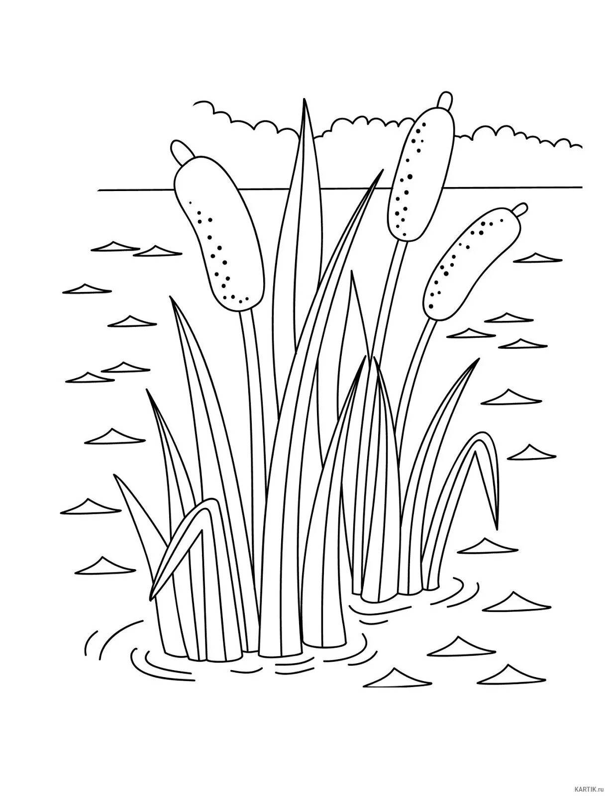 Rampant reed coloring book for kids