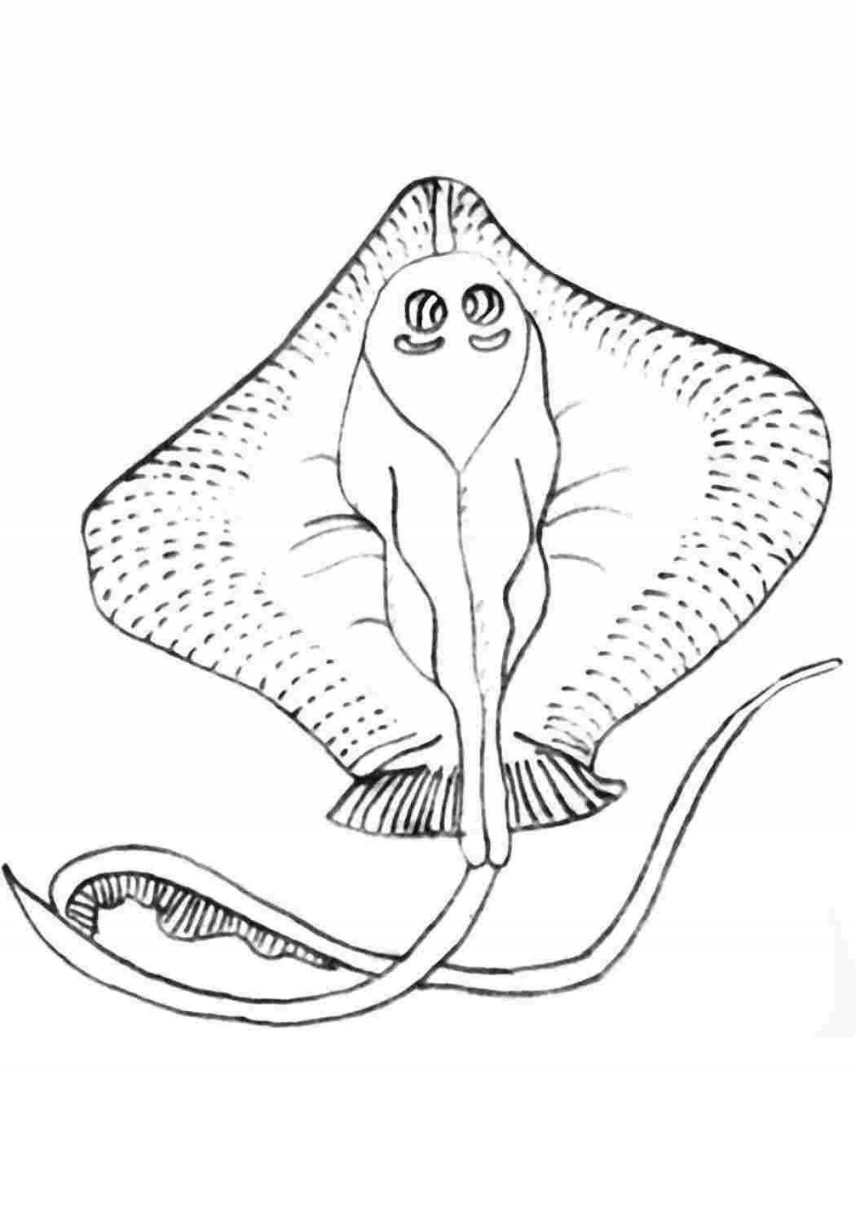 Fun coloring ramp for kids