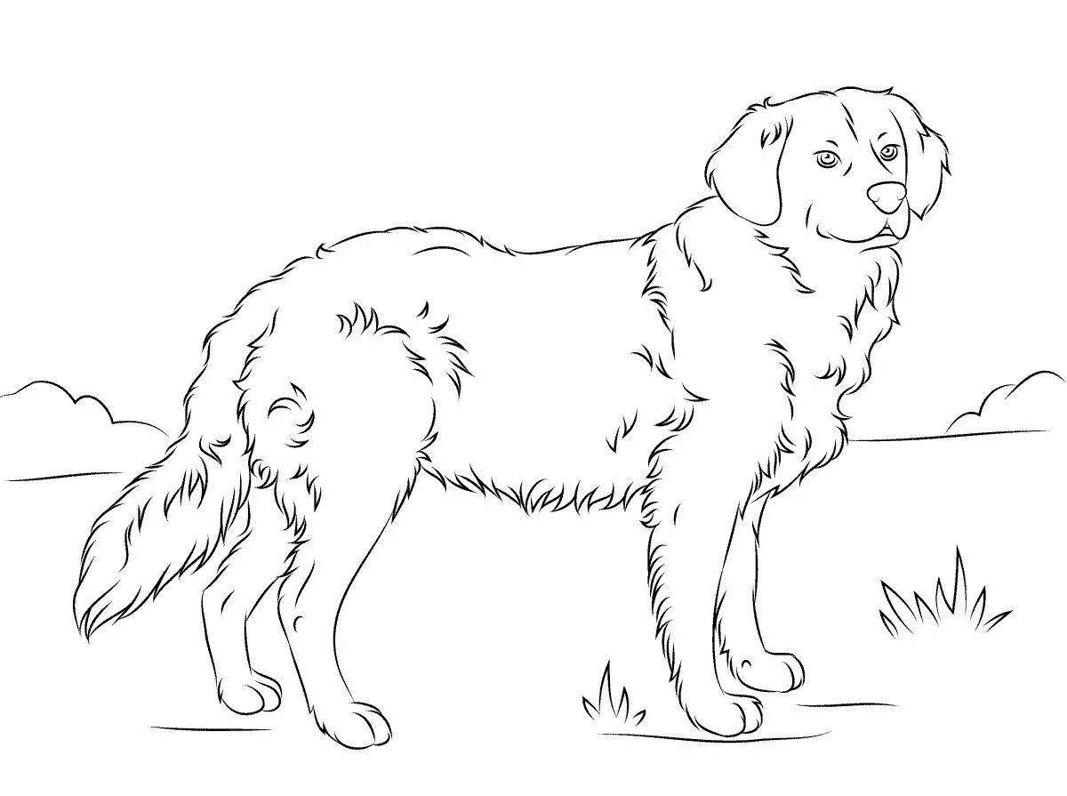 Adorable shepherd coloring book for kids
