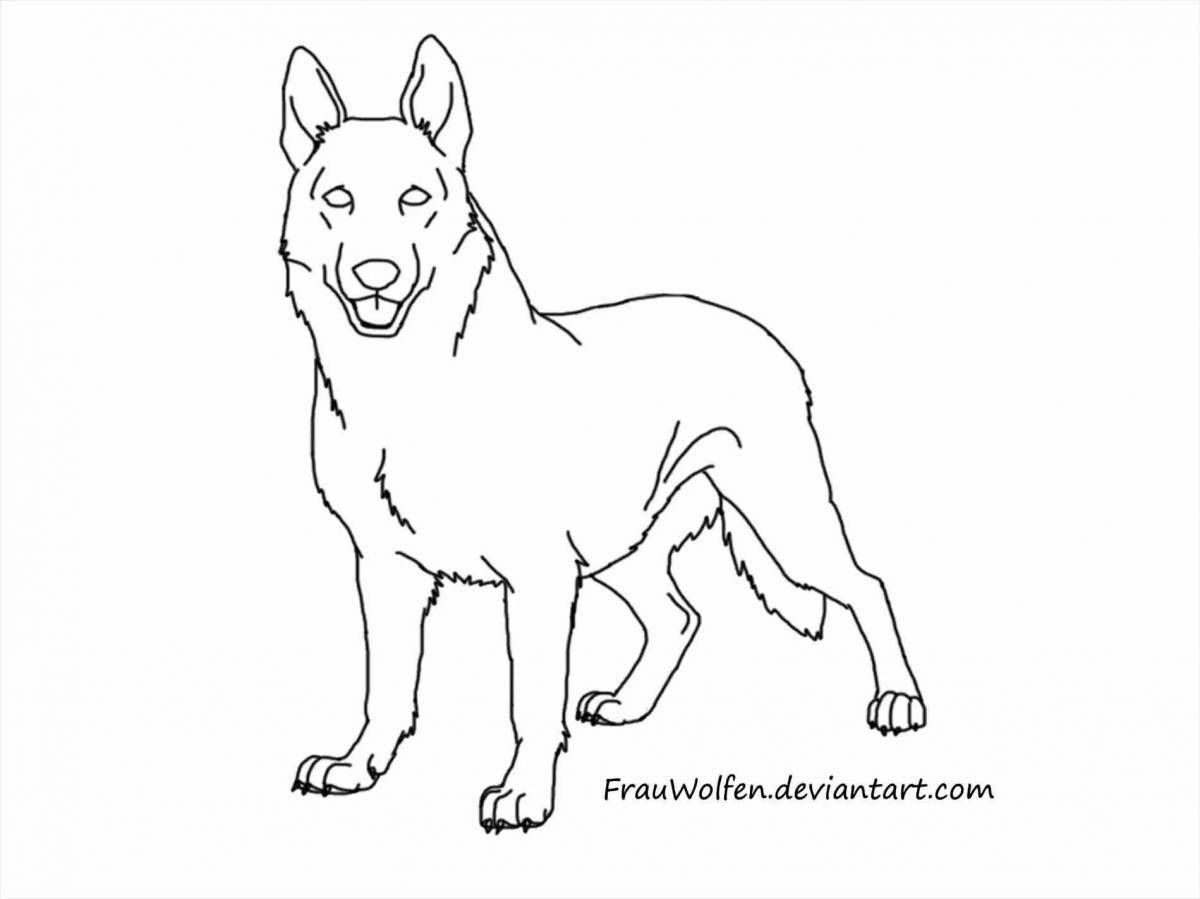 Coloring page nice shepherd for kids