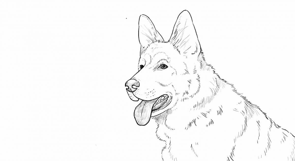 Coloring page happy shepherd dog for kids
