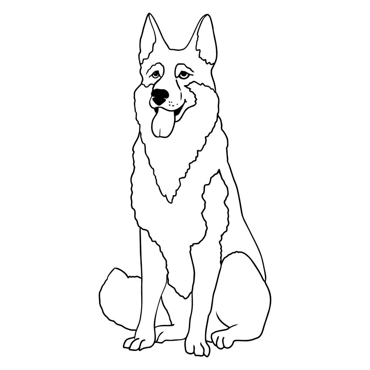 Coloring book witty shepherd dog for kids