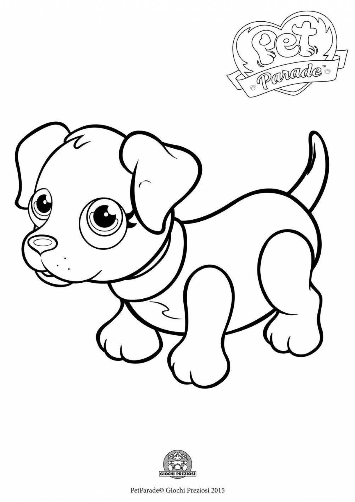 Fancy dog ​​toys coloring book