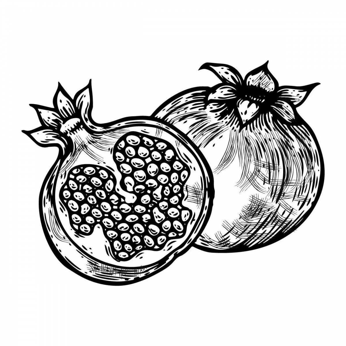 Sweet pomegranate coloring book for kids