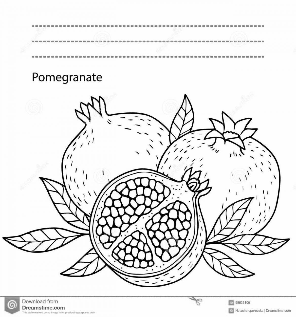 Incredible pomegranate coloring book for kids