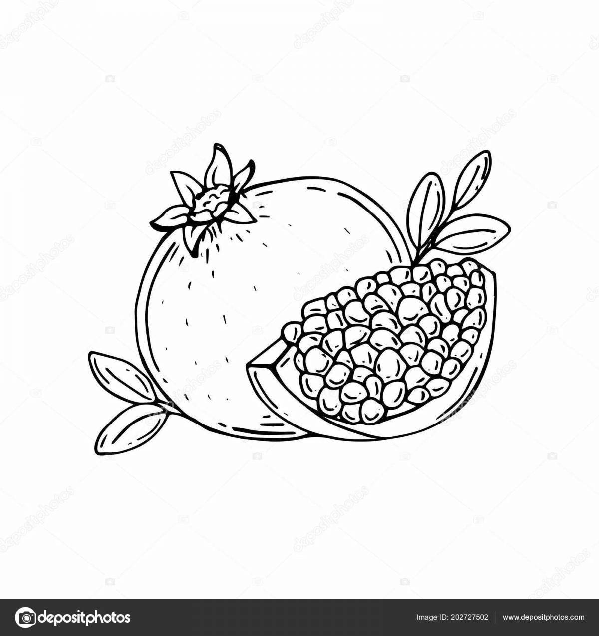 Amazing pomegranate coloring page for kids