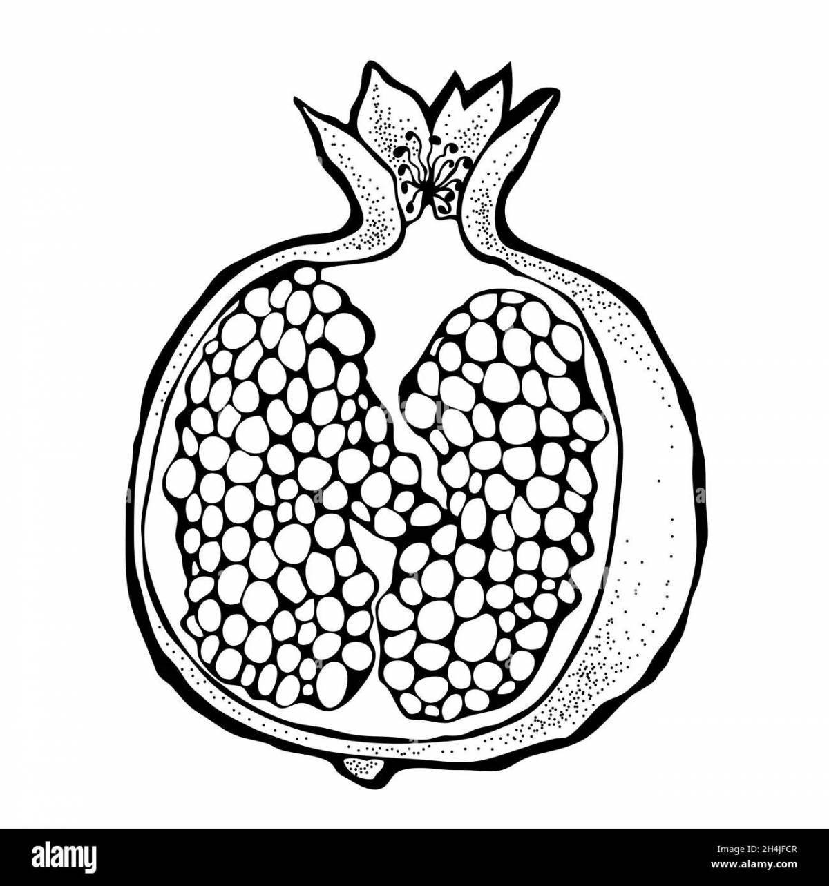 Great pomegranate coloring pages for kids
