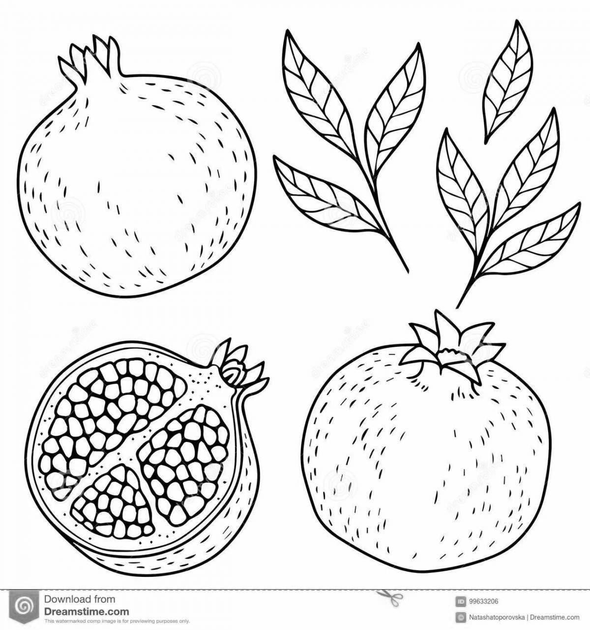 Great pomegranate coloring book for kids
