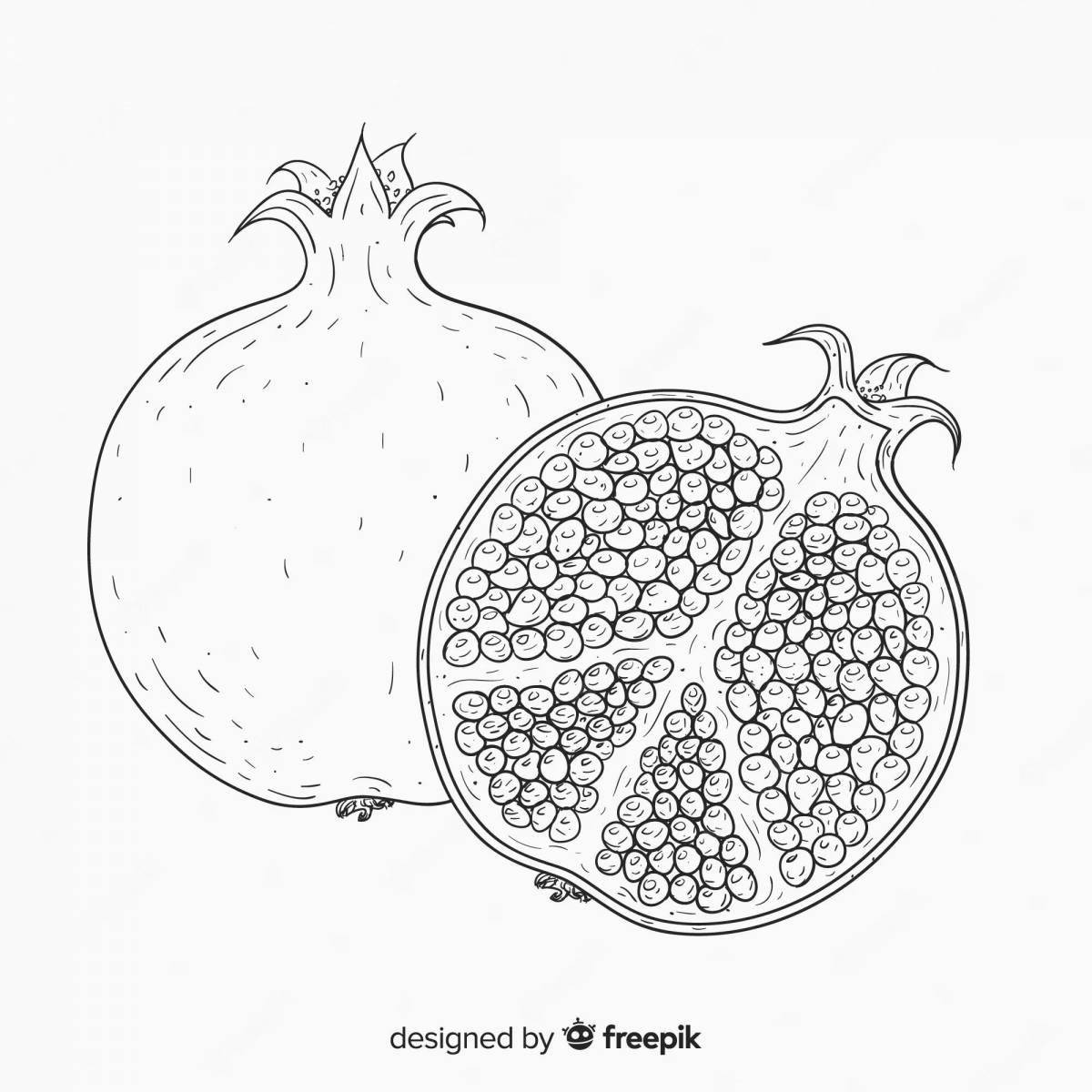 Exquisite pomegranate coloring book for kids