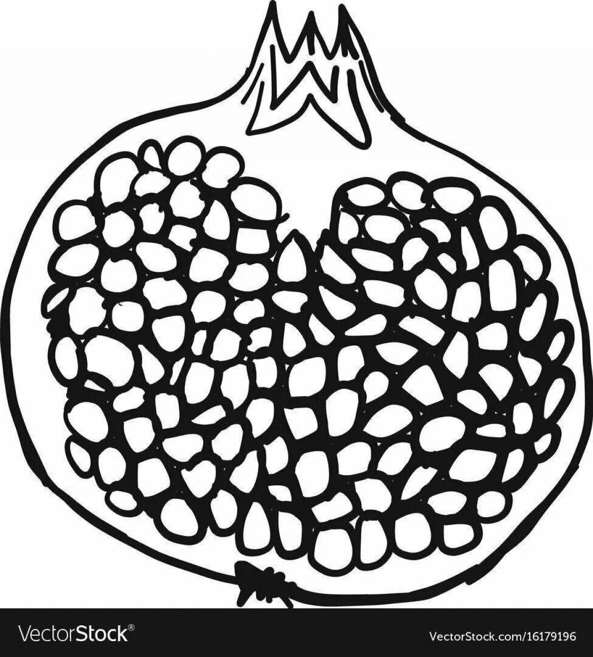 Гранат картинка для детей раскраска