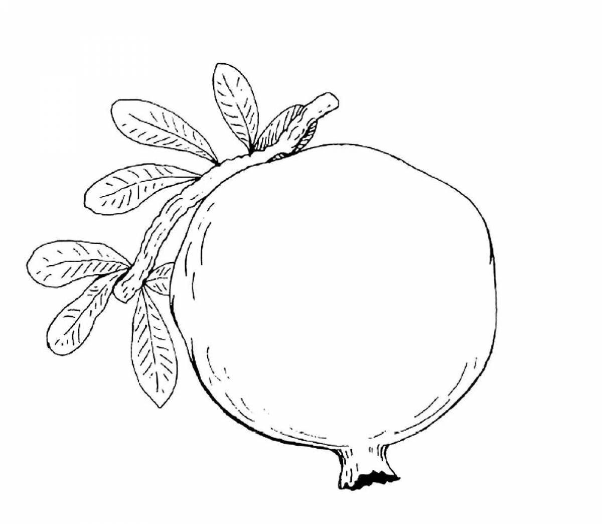 Pomegranate for kids #3