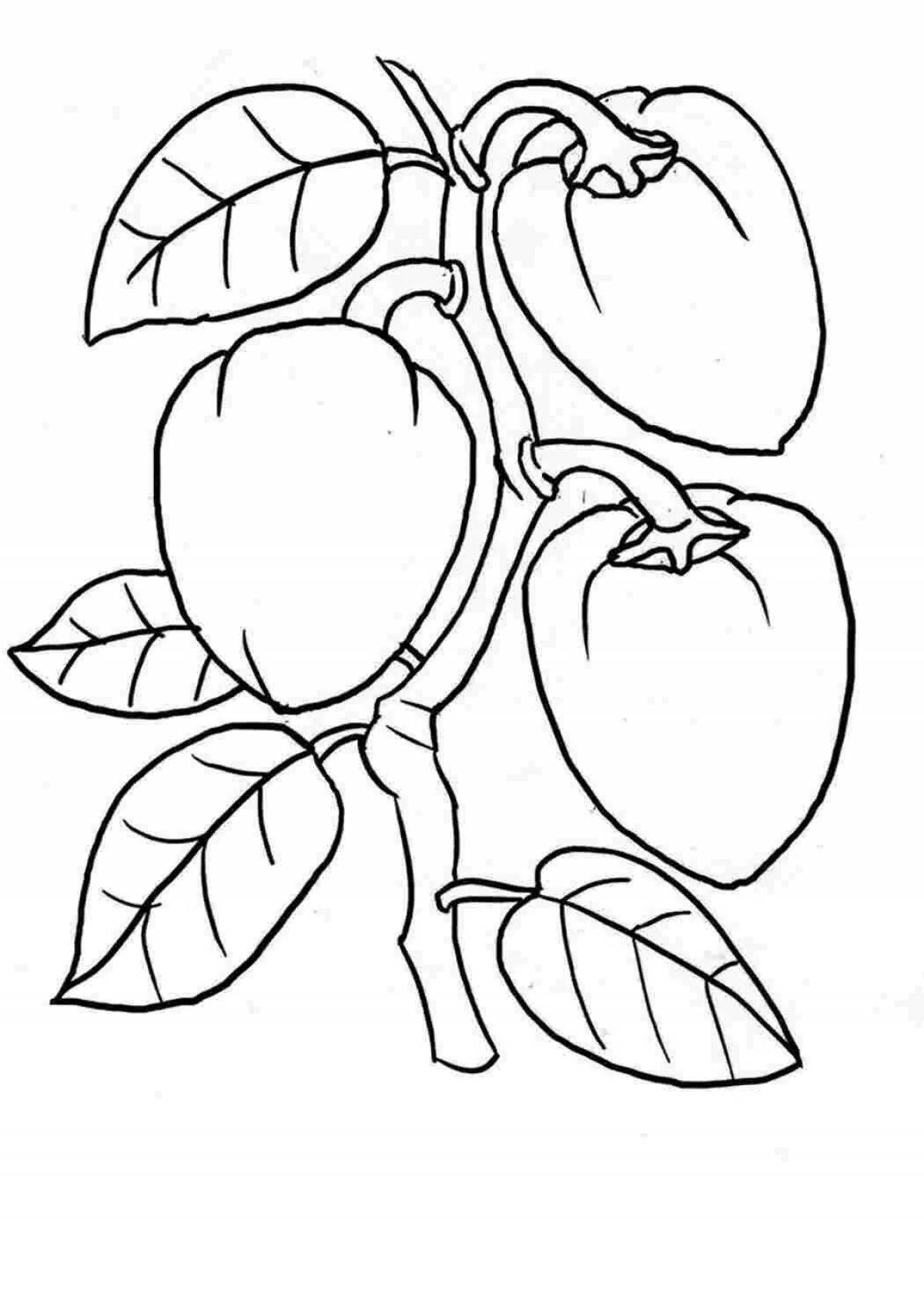 Fat pepper coloring book for kids