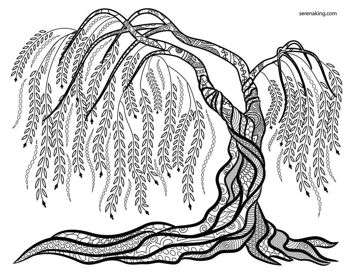 Colorful willow coloring page for kids