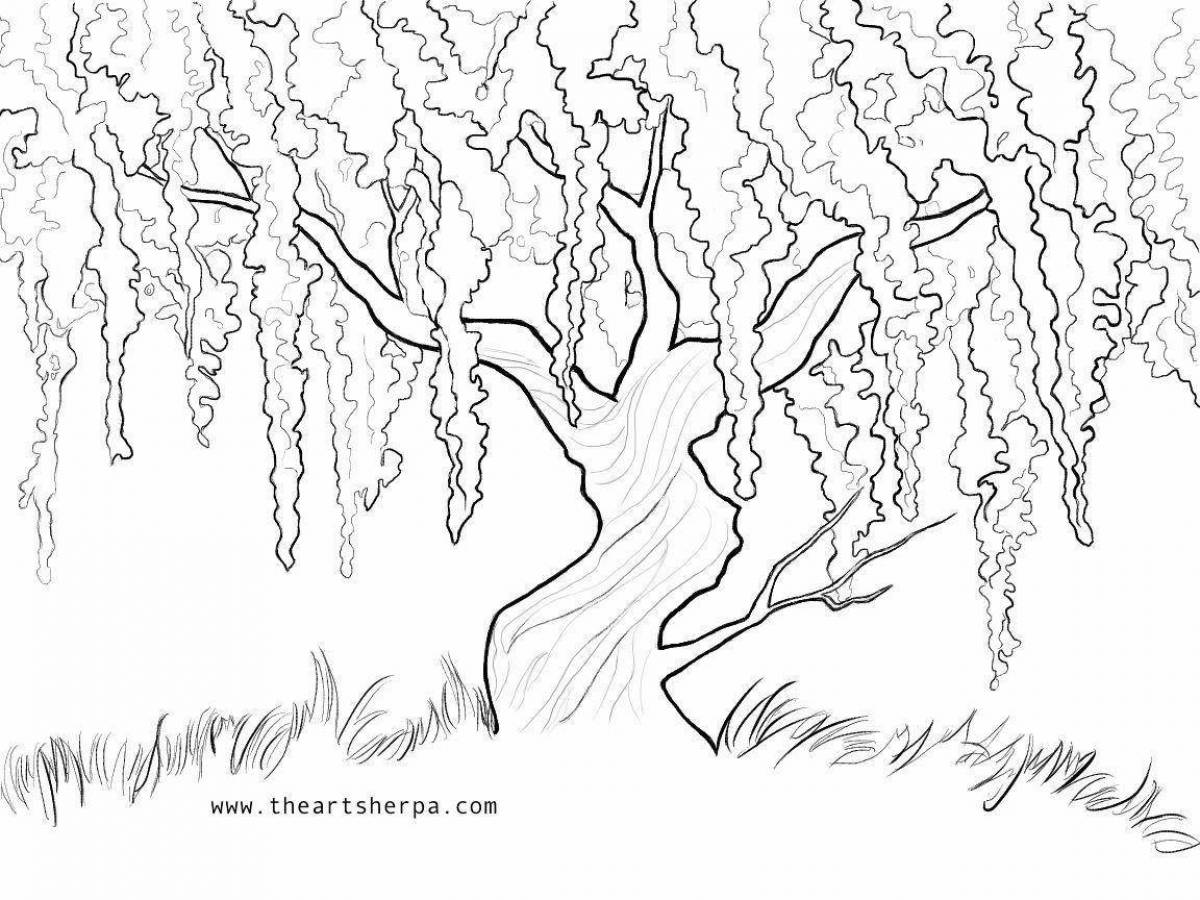 Adorable willow coloring page for kids