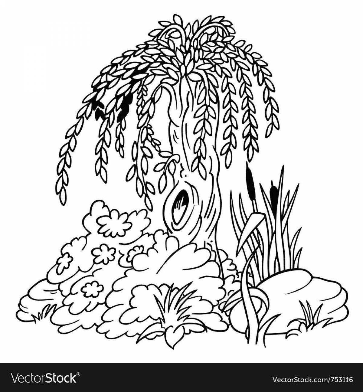 Incredible willow coloring book for kids