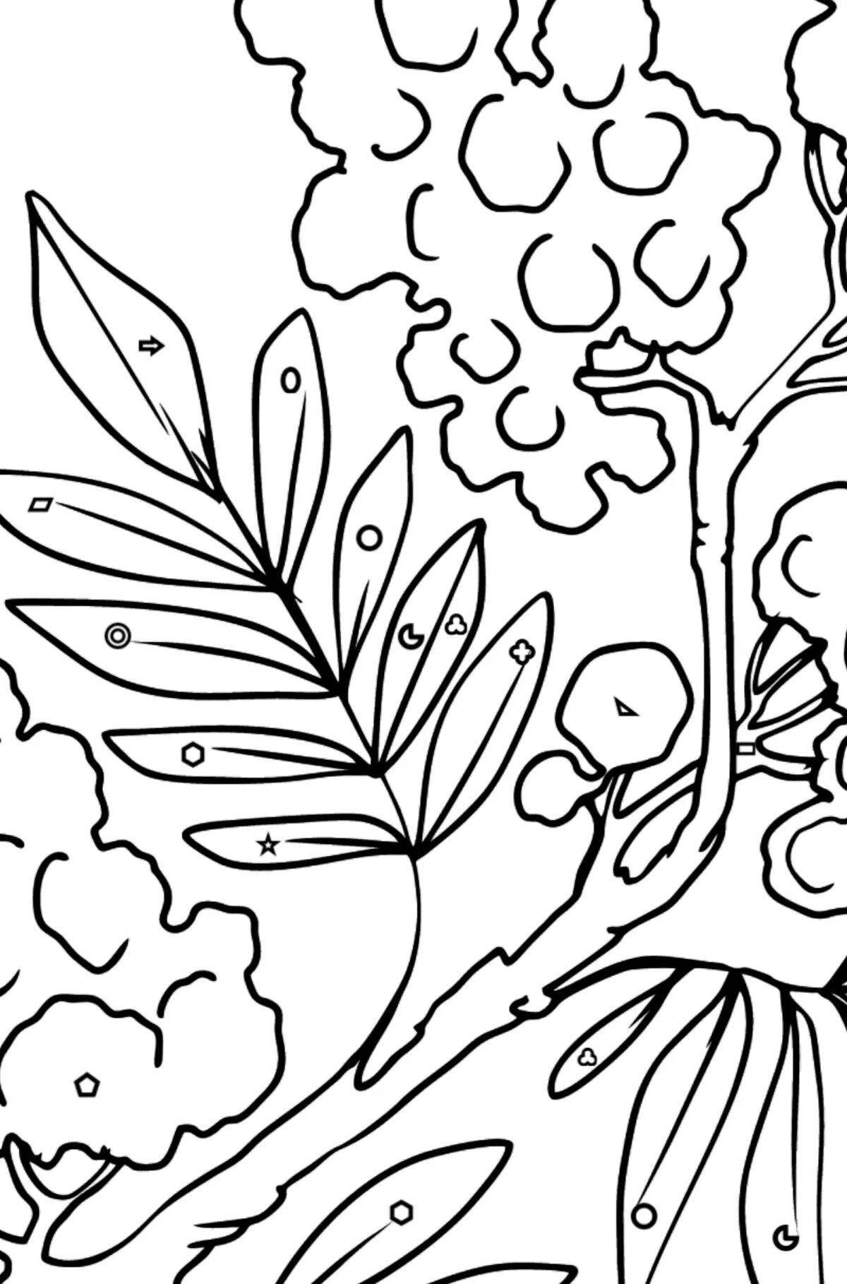 Mimosa fun coloring book for kids