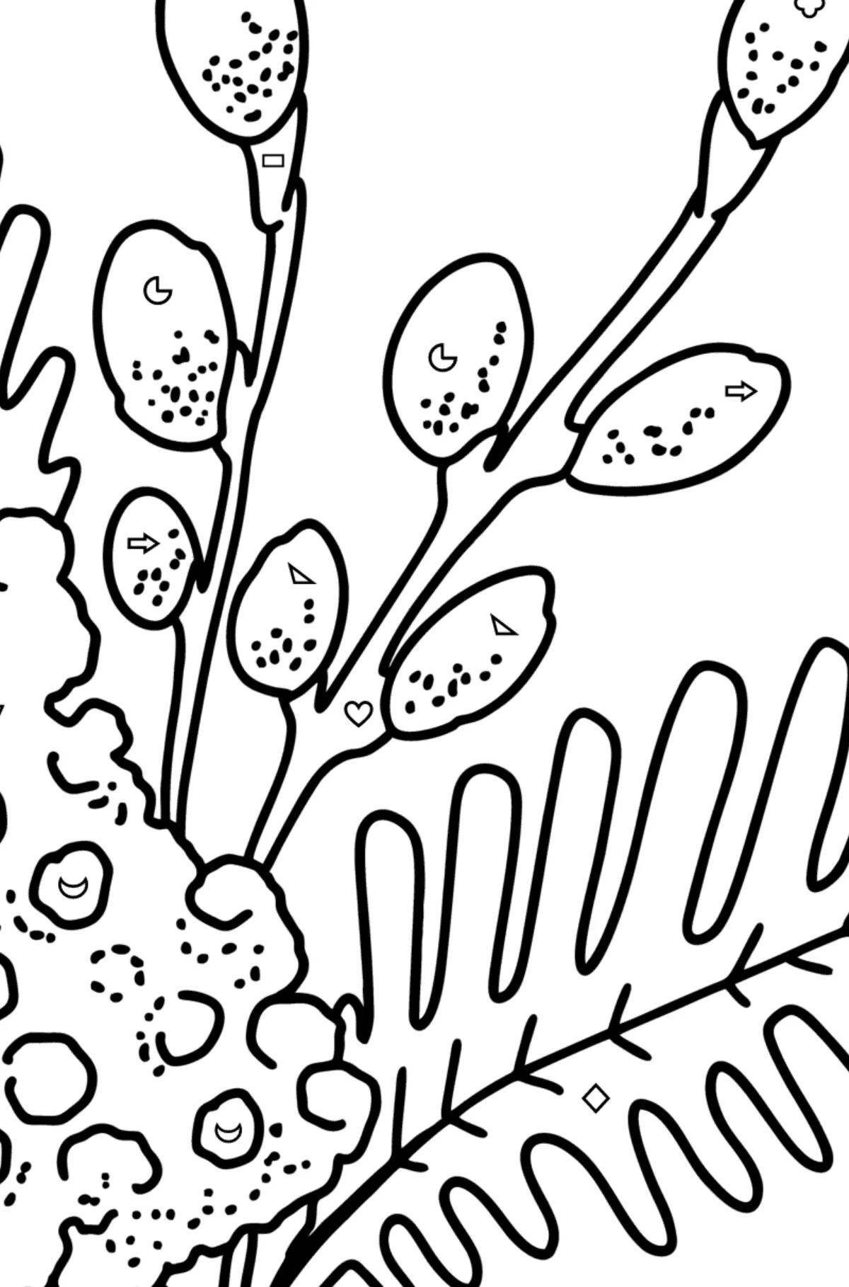 Vibrant Mimosa Coloring Book for Preschoolers