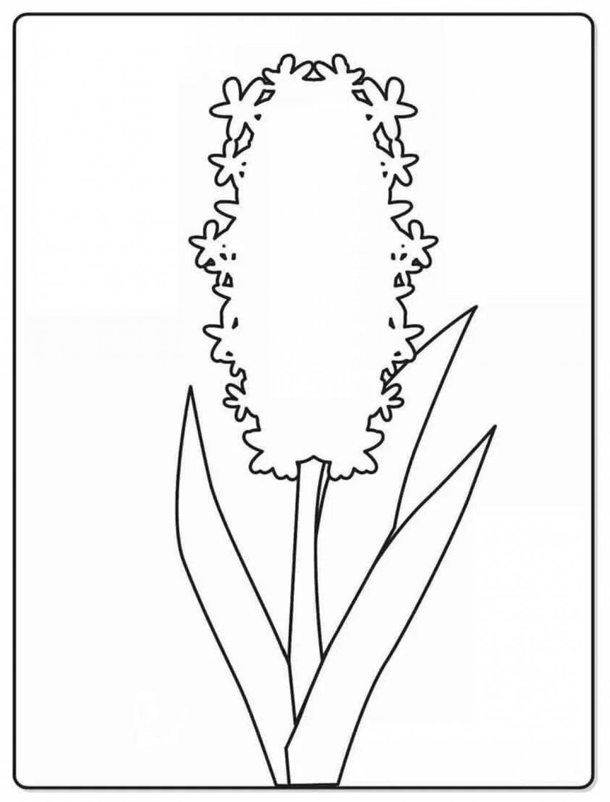 Glittering Mimosa Coloring Page for Toddlers