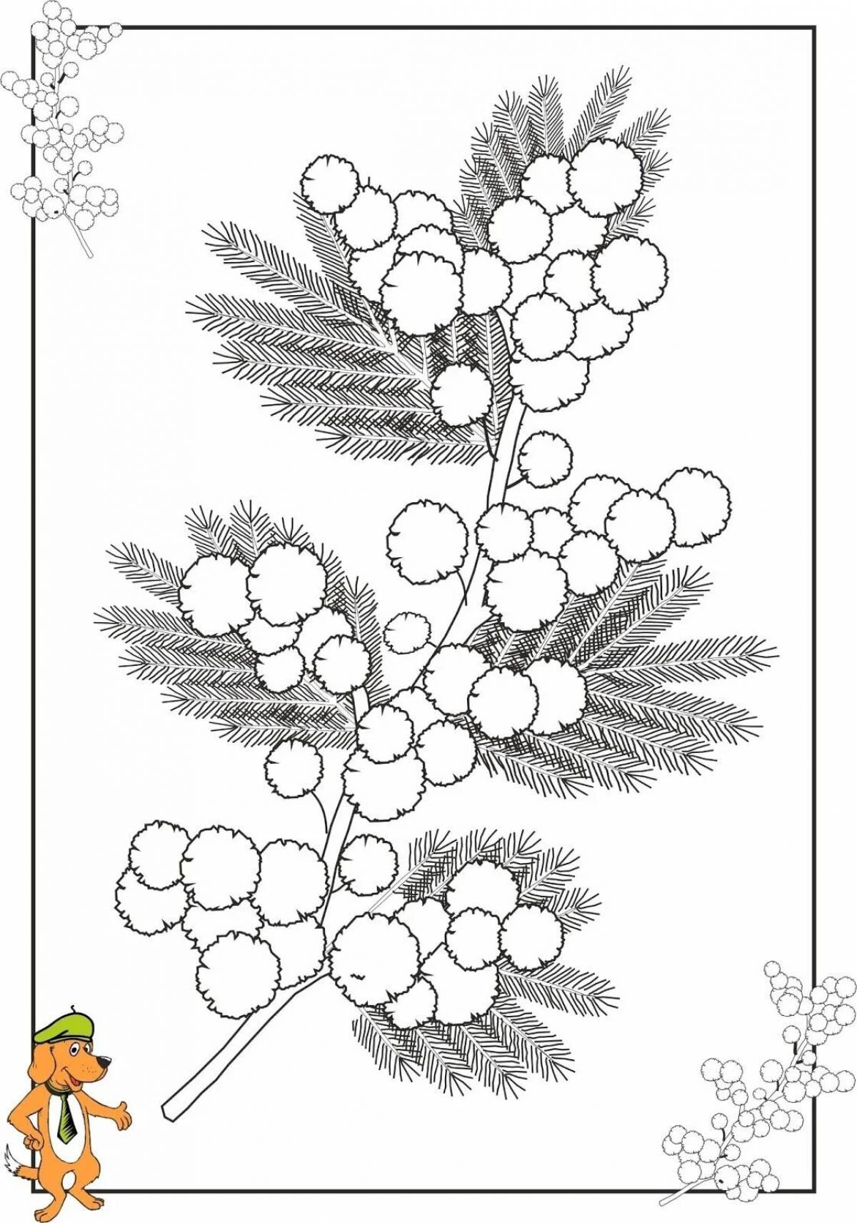 Fantastic mimosa coloring book for kids