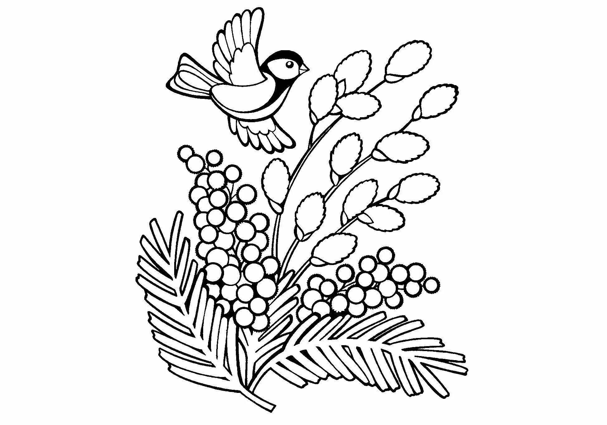 Large mimosa coloring book for babies