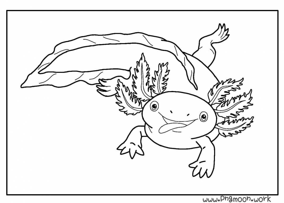 Axolotl fun coloring for kids